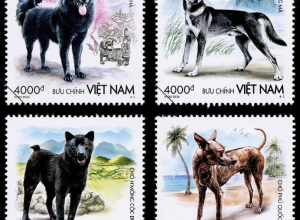 TỨ ĐẠI QUỐC KHUYỂN CỦA VIỆT NAM